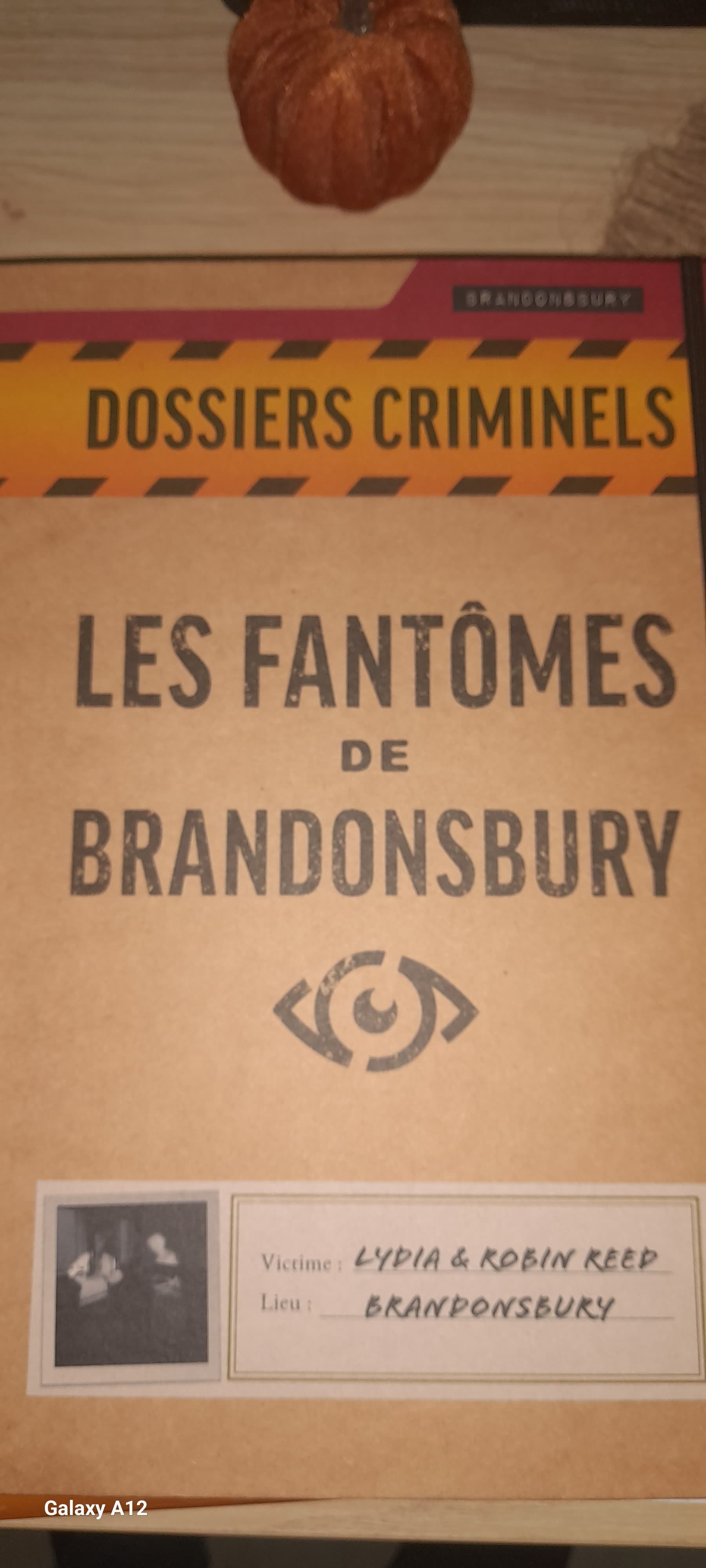 Les fantômes de brandonsbury